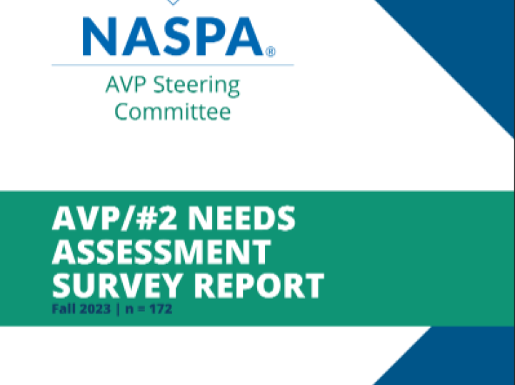 AVP Assessment Survey cover image