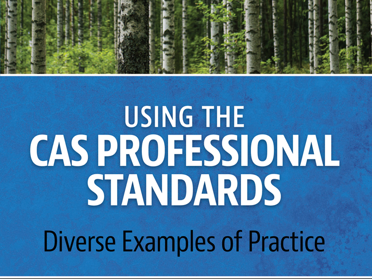 Using the CAS Professional Standards book cover