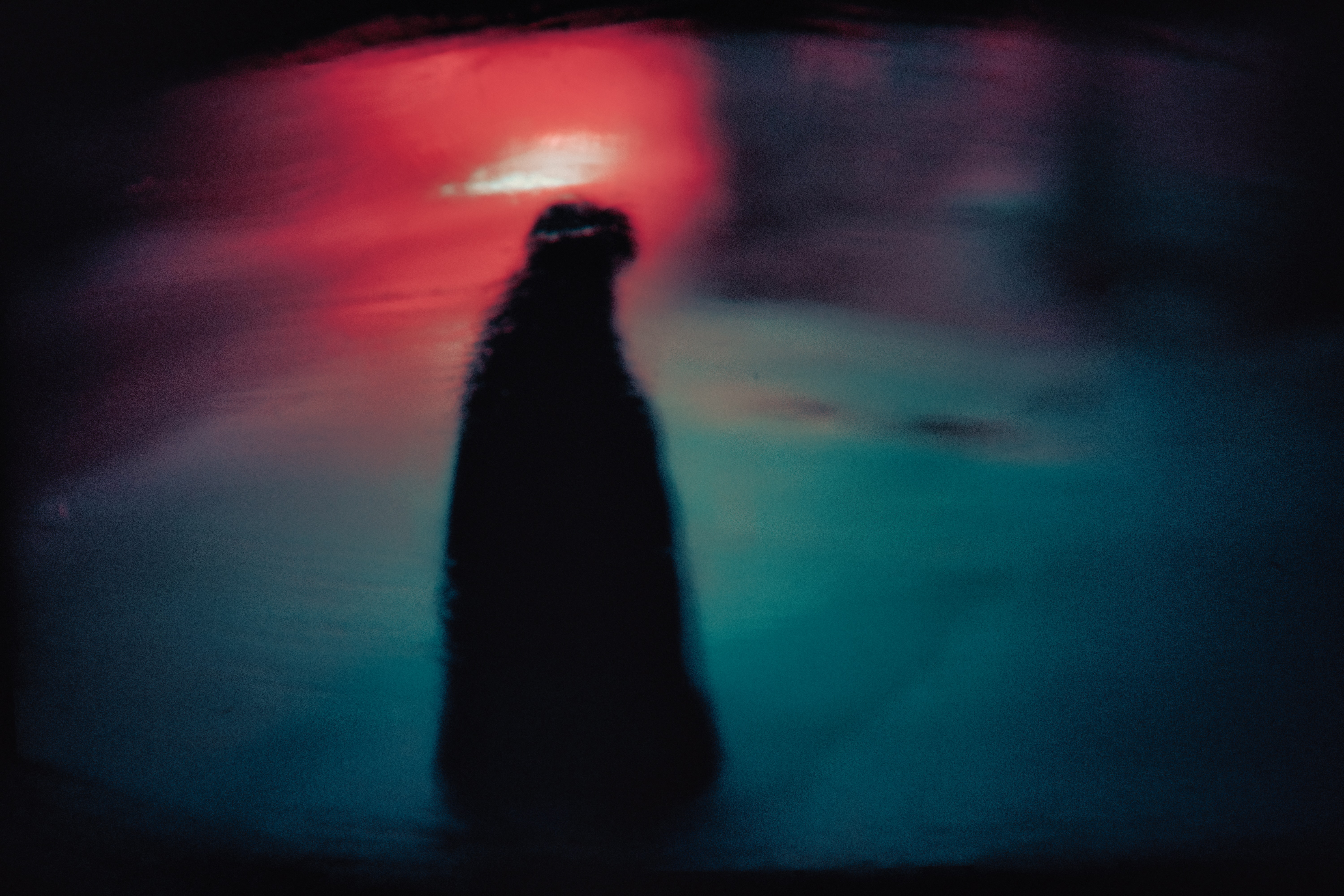 Unfocused picture of a woman's silhouette at night with a smudgy background